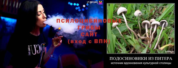 эйфоретик Заволжье