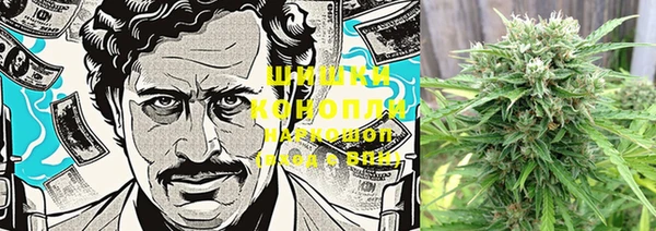 MDMA Ельня