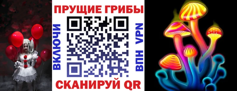 Псилоцибиновые грибы MAGIC MUSHROOMS где можно купить Зеленодольск