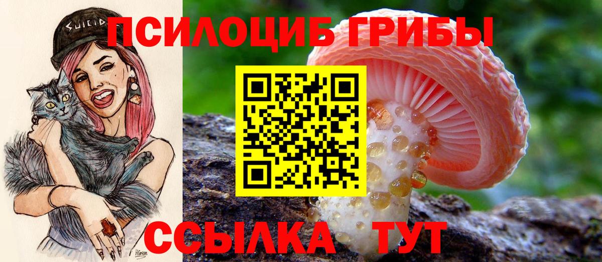 Псилоцибиновые грибы MAGIC MUSHROOMS Зеленодольск
